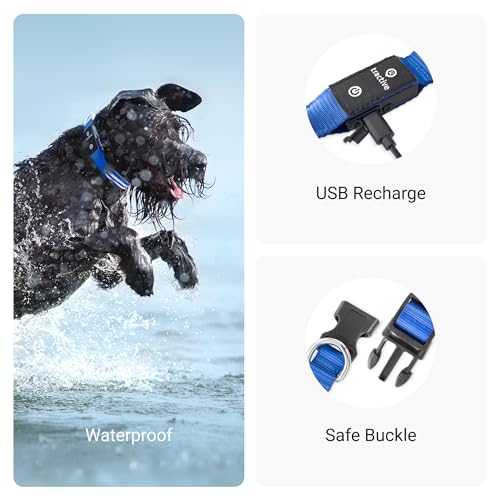 Tractive GPS Pet Tracker with LED Light Up Dog Collar - Waterproof, GPS Location & Smart Activity Tracker, Unlimited Range (Blue, Small)