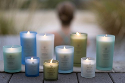 Chesapeake Bay Candle Scented Candle, Peace + Tranquility (Cashmere Jasmine), Medium Jar, Home Décor