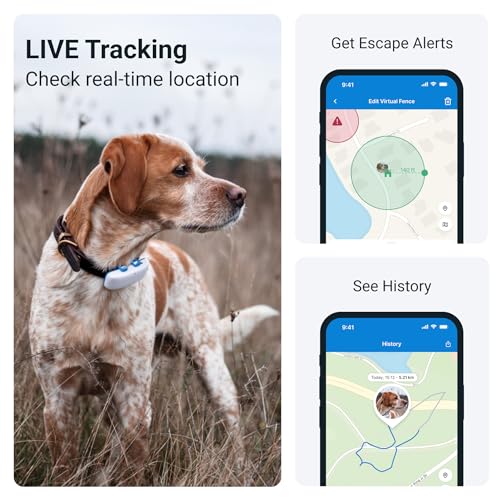 Tractive GPS Pet Tracker with LED Light Up Dog Collar - Waterproof, GPS Location & Smart Activity Tracker, Unlimited Range (Blue, Small)