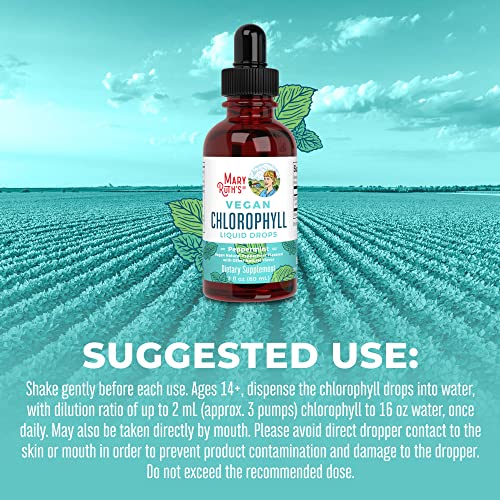 MaryRuth's Chlorophyll Liquid Drops | Clean Label Project Certified® | Vegan | Non-Diluted Liquid Chlorophyll| Mulberry Derived Supplement for Ages 14+ | Non-GMO | Delicious Minty Flavor | 2 Fl Oz