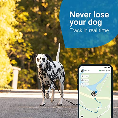 Tractive GPS Tracker & Health Monitoring for Dogs - Market Leading Pet GPS Location Tracker, Wellness & Escape Alerts, Waterproof, Works with Any Collar (White)