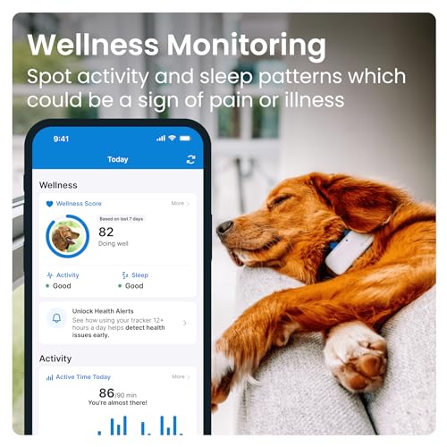 Tractive GPS Tracker & Health Monitoring for Dogs - Market Leading Pet GPS Location Tracker, Wellness & Escape Alerts, Waterproof, Works with Any Collar (White)