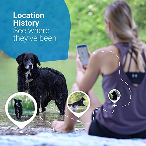 Tractive GPS Tracker & Health Monitoring for Dogs - Market Leading Pet GPS Location Tracker, Wellness & Escape Alerts, Waterproof, Works with Any Collar (White)