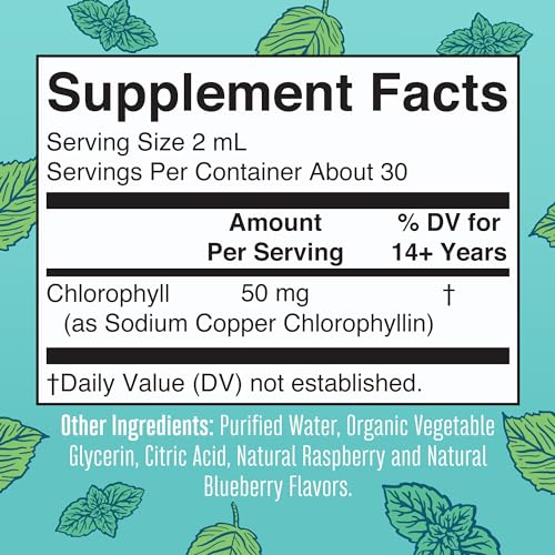 MaryRuth's Chlorophyll Liquid Drops | Clean Label Project Certified® | Vegan | Non-Diluted Liquid Chlorophyll| Mulberry Derived Supplement for Ages 14+ | Non-GMO | Delicious Minty Flavor | 2 Fl Oz