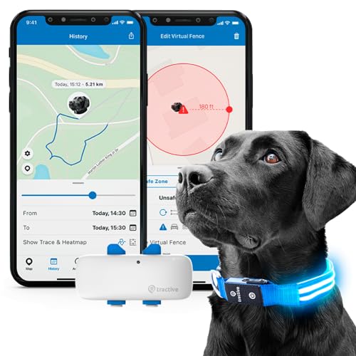 Tractive GPS Pet Tracker with LED Light Up Dog Collar - Waterproof, GPS Location & Smart Activity Tracker, Unlimited Range (Blue, Small)