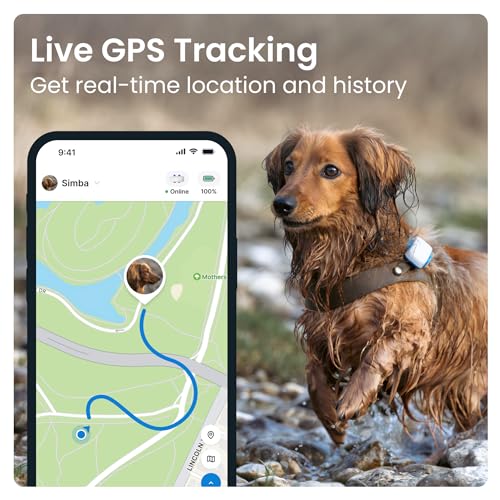 Tractive GPS Tracker & Health Monitoring for Dogs - Market Leading Pet GPS Location Tracker, Wellness & Escape Alerts, Waterproof, Works with Any Collar (White)