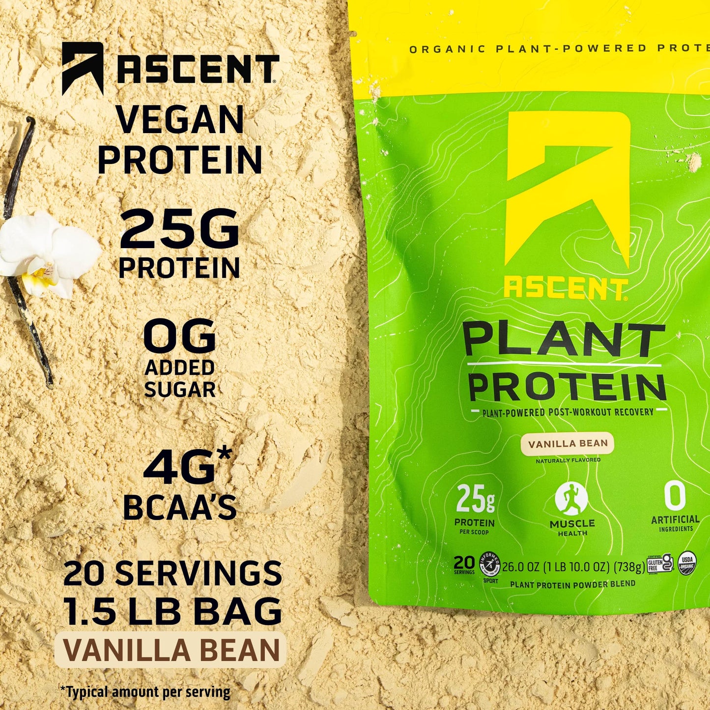 Ascent Plant Based Protein Powder - Non Dairy Vegan Protein, Zero Artificial Ingredients, Soy & Gluten Free, No Added Sugar, 4g BCAA, 2g Leucine - Vanilla, 20 Servings